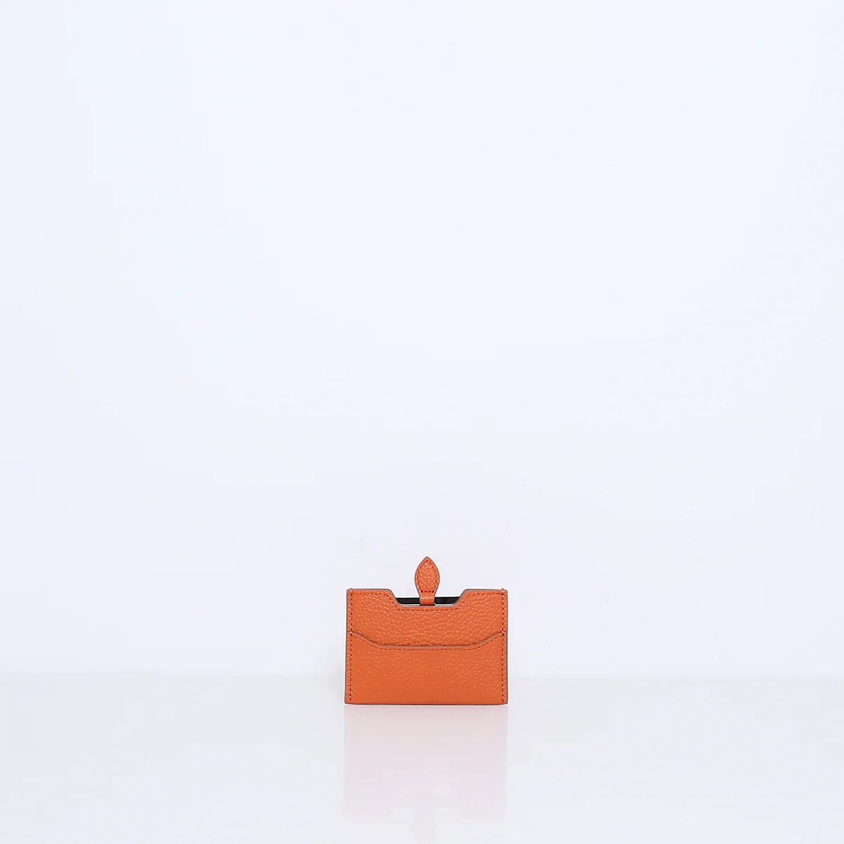 Miniatuur 2